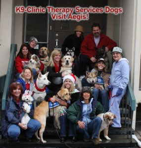 Therapy Dog Program